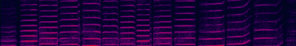 Warum heißt die Foraminifederalogie eigentlich Foraminiferderalogie? Einige Abrisse. Notizen. Unverwertbares.