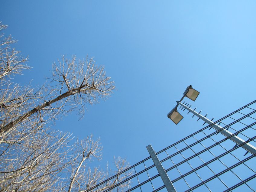 Der neoliberale Kapitalismus: Leben und Denken wie die Schweine