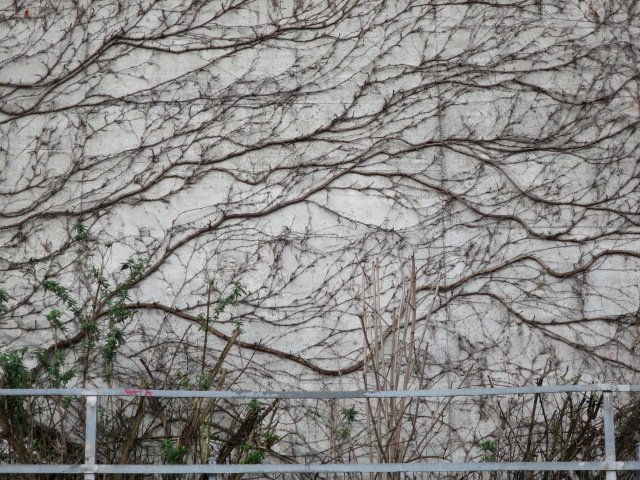 RED PLENTY PLATFORMS