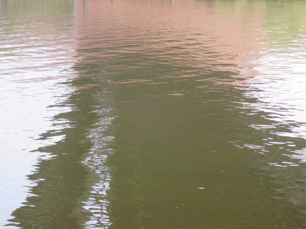 Historische Musikwissenschaft – eine postfaktische Disziplin