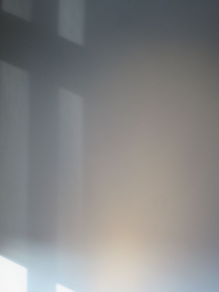 Grünen-Parteitag: Die “Tesla-Partei” will an die Macht