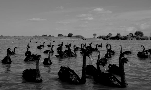 Why is foraminifederalogy actually called foraminiferderalogy?